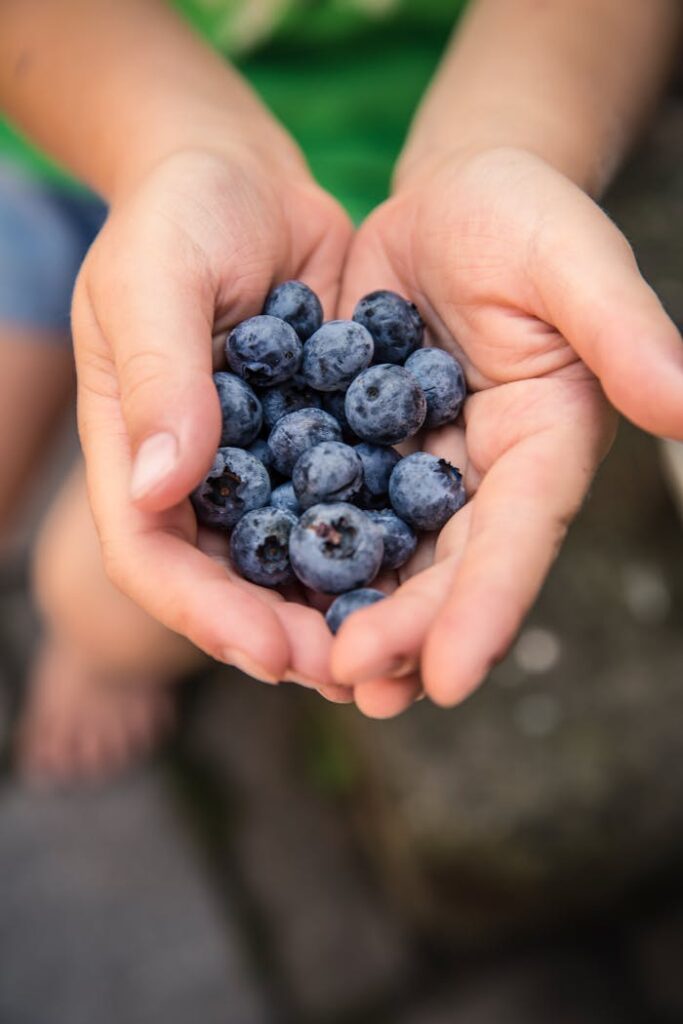 Close-up of hands holding fresh blueberries, symbolizing healthy eating and nature.